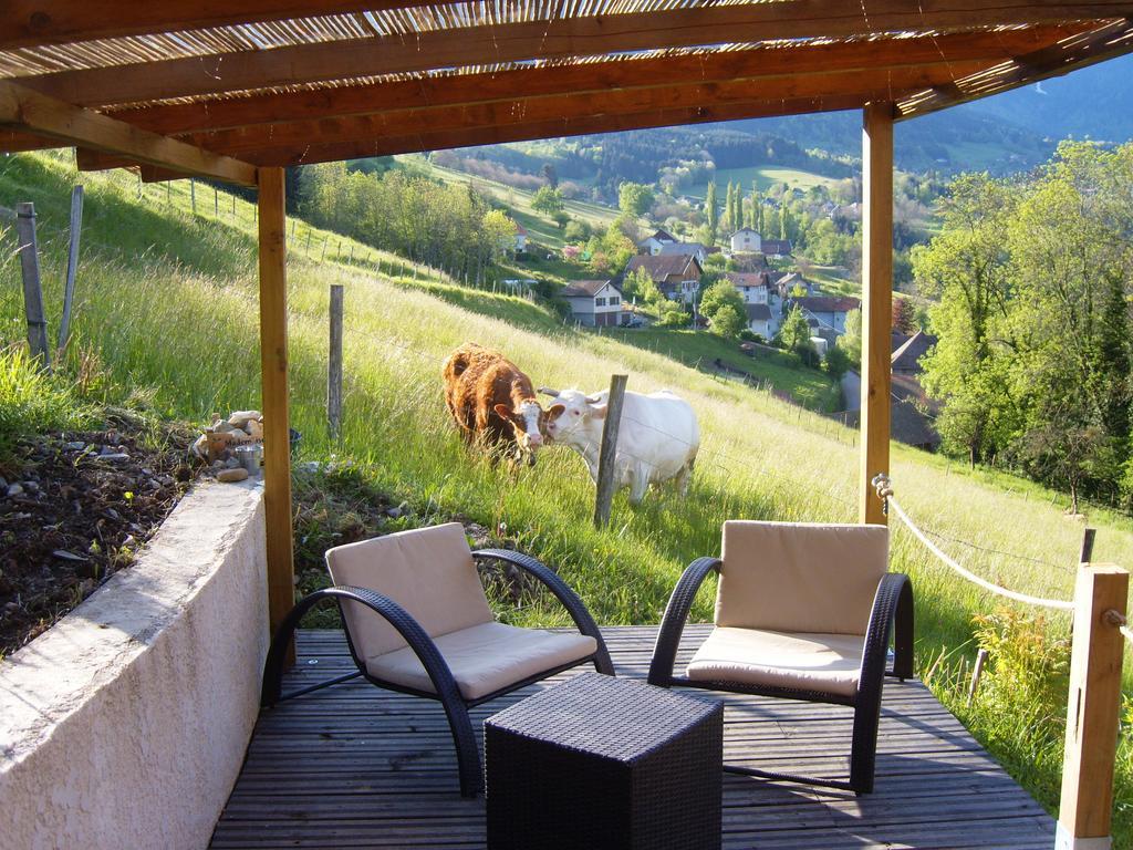 Gite Au Coeur Du Chalet En Belledonne Vers Prapoutel Les 7 Laux Sainte-Agnès Habitación foto